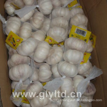 Normal White Garlic with Mesh Bag (4.5cm and up)